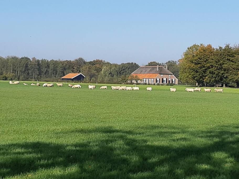B&B Joostink In Vorden Exteriér fotografie